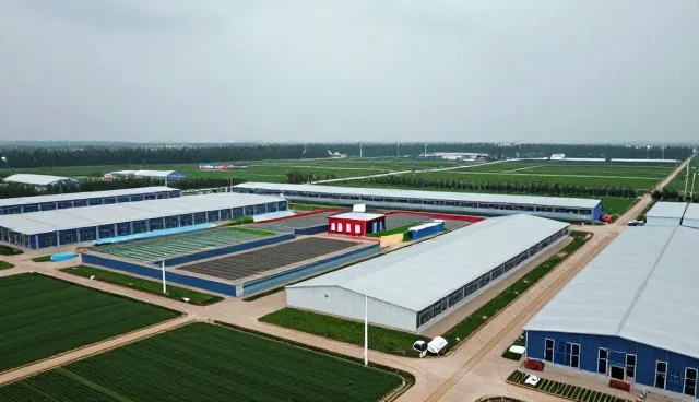 品牌代理如何重构商品定制的业务逻辑